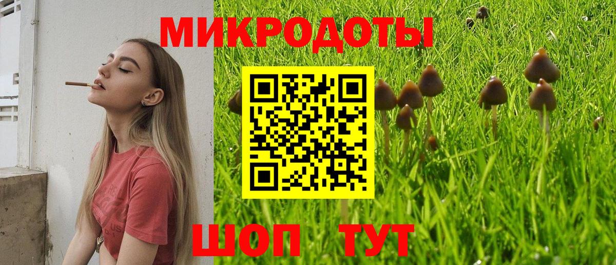 Псилоцибиновые грибы мицелий Десногорск