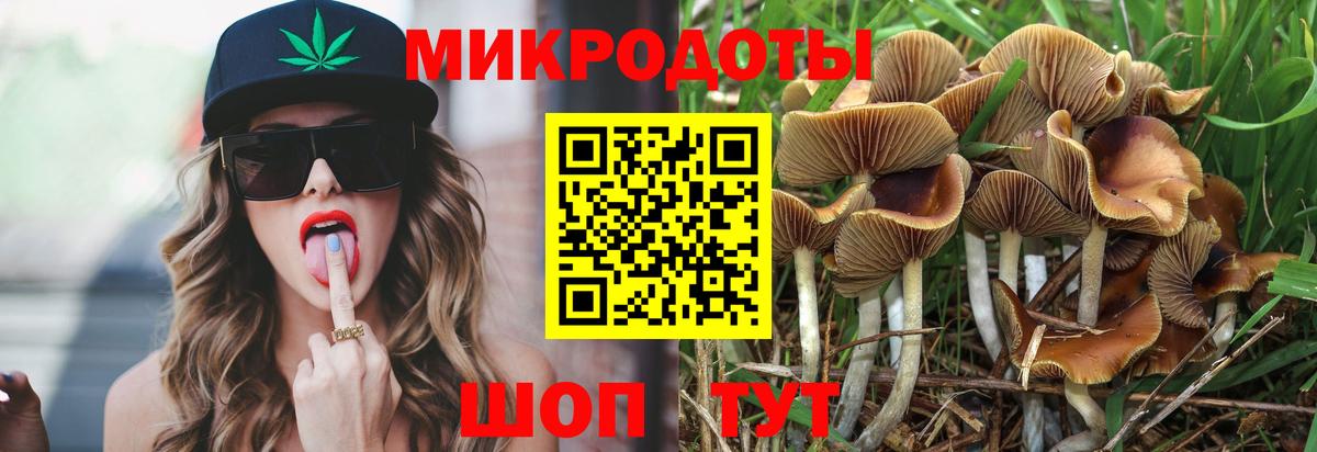 Галлюциногенные грибы Psilocybine cubensis  Вход с VPN  Галлюциногенные грибы GOLDEN TEACHER  Десногорск 